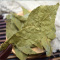 布渣叶500g布渣叶草破布叶麻布叶烂布渣 薢宝叶广东凉茶