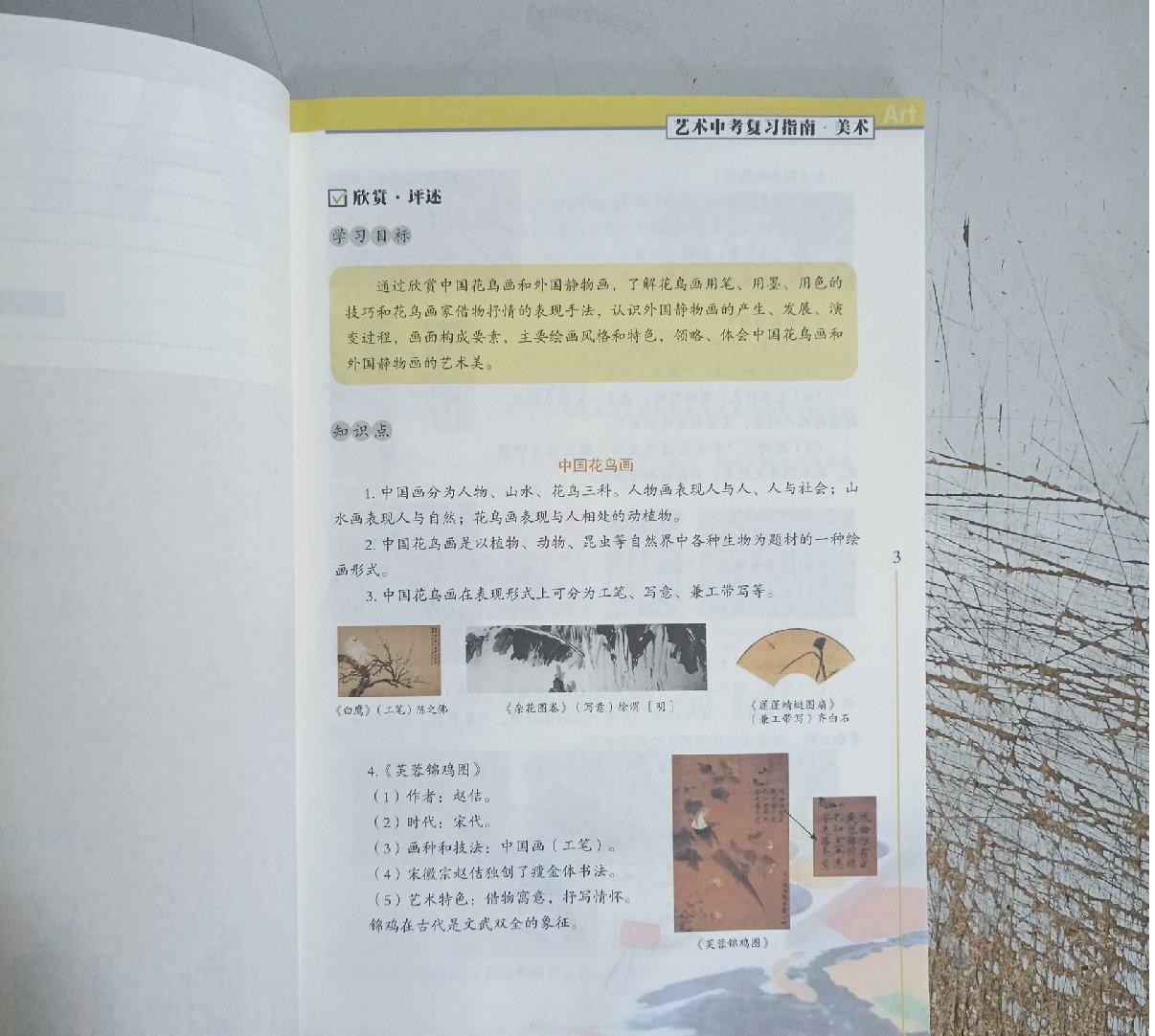 艺术中考复习指南 美术[2023版] 初中通用 [正版]苏教版 艺术中考复习指南 美术 初中中考复习指导 练习册 中考高清大图