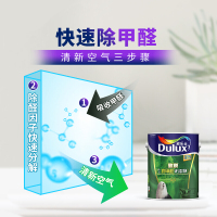 多乐士(Dulux)致悦竹炭抗甲醛无添加全效 油漆涂料 内墙乳胶漆 墙面漆白色 A740+A748 18L套装