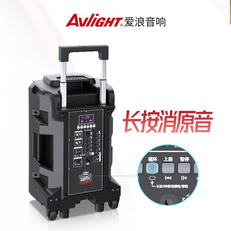 爱浪(Avlight)DT21-12广场舞音响户外移动拉杆便携式大功率直播K歌家用会议蓝牙音箱带双无线话筒