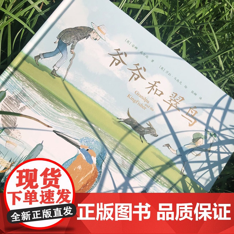 正版童书 爷爷和翠鸟高清大图
