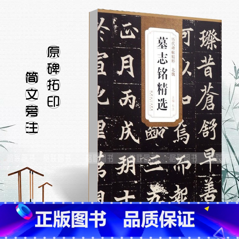 [正版]北魏墓志铭精选历代碑帖精粹杜浩元桢司马昞和妻孟敬训元显俊崔敬邕李壁张黑女张黑女毛笔书法练字帖安徽美术出版社