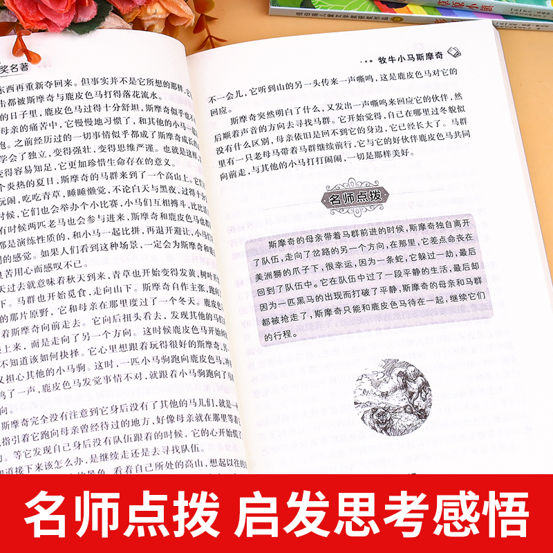 [全20册]获奖作品集+获奖作家书系 [正版]儿童文学获奖作品经典书系全套10册小学生三四年级阅读课外书必读34年级上下