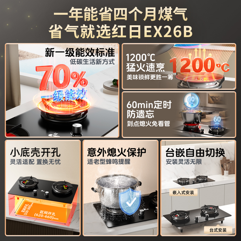 红日(RedSun)家用台嵌两用熄火保护 固定定时 1200℃猛火燃气红外线灶 节能省气灶EX26B液化气高清大图