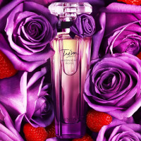 Lancome兰蔻珍爱午夜玫瑰女士香水 EDP浓香水75ML
