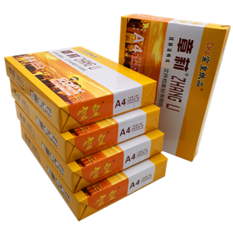 宣皇 章莉a4打印纸复印纸白纸A4纸80g草稿纸办公用品 500张/包 章莉A4 80G 8包/箱