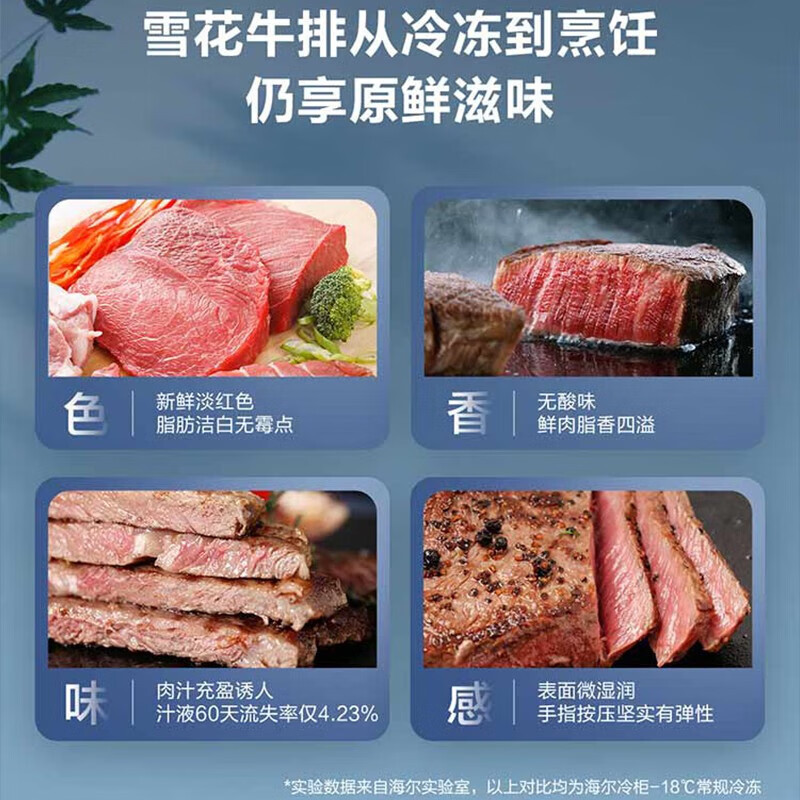 [无需除霜]海尔冰柜家用小型冷柜无需除霜一级能效冷藏冷冻转换保鲜柜速冻柜节能小冰箱 100升-40℃电脑控温钢板内胆