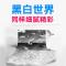 京纪人适用佳能CRG337硒鼓MF211 215 212w 243d 249dw墨盒LBP151 236n 215 22