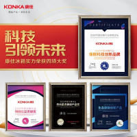 康佳(KONKA)12公斤 半自动波轮 大容量 双桶双缸洗衣机XPB120-739S