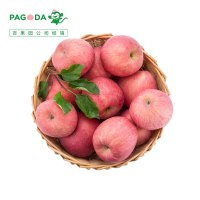 百果园公司 招牌-良枝苹果精选山东烟台红富士 4.6-5斤装