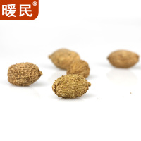 暖民 砂仁100g罐装 煲汤烧菜炖肉料厨房调味料品香料佐料配料香辛料