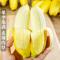 [西沛生鲜]新鲜小米蕉 净重5斤 箱装 新鲜当季水果 香甜软糯 孕妇宝宝辅食