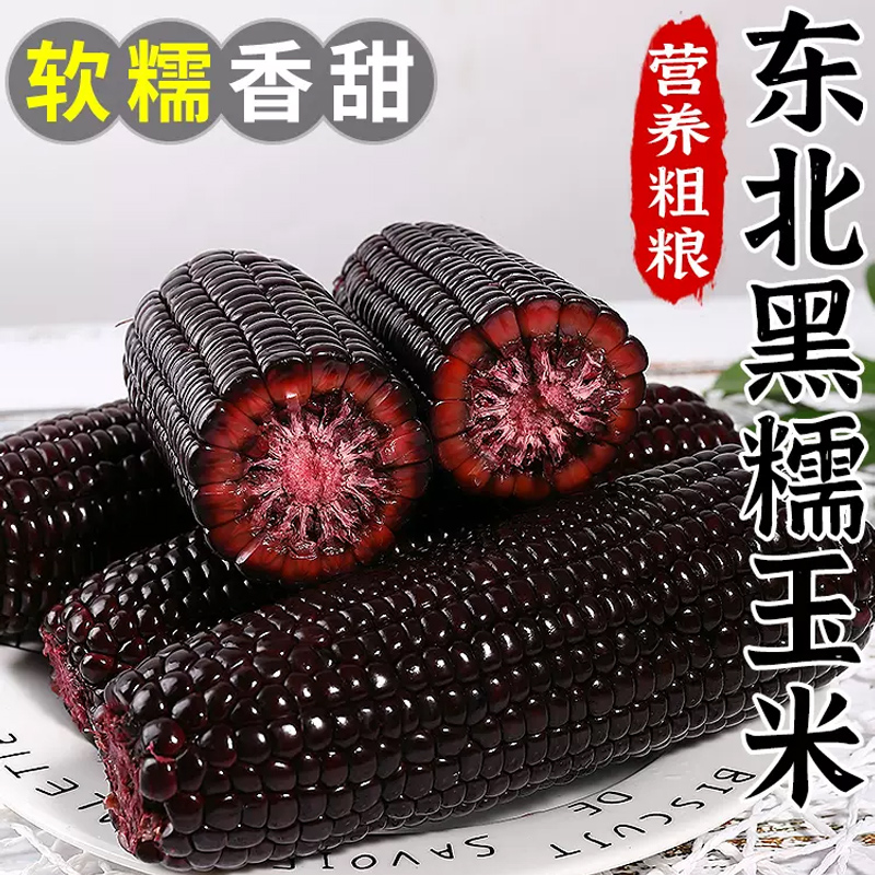 [西沛生鲜]新鲜黑糯玉米 大棒 10根装 单根200-300g 黏玉米甜糯玉米袋装粘玉米黄糯玉米现摘高清大图