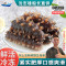 沈志雄东山岛澳角村海参新鲜海参刺参六排刺的海参小米粥年货年夜饭送礼10个一盒