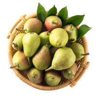 希悦果品 山东茄梨 太婆梨 带箱4斤装 入口软糯香甜 好吃的精品梨