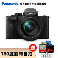 松下(Panasonic)G100M(含12-60一代镜头)套机 Vlog微单相机 4K视频拍摄 触摸屏