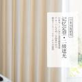 定制轻奢飘窗记忆定型简约现代窗帘成品纯色客厅遮光落地窗_574