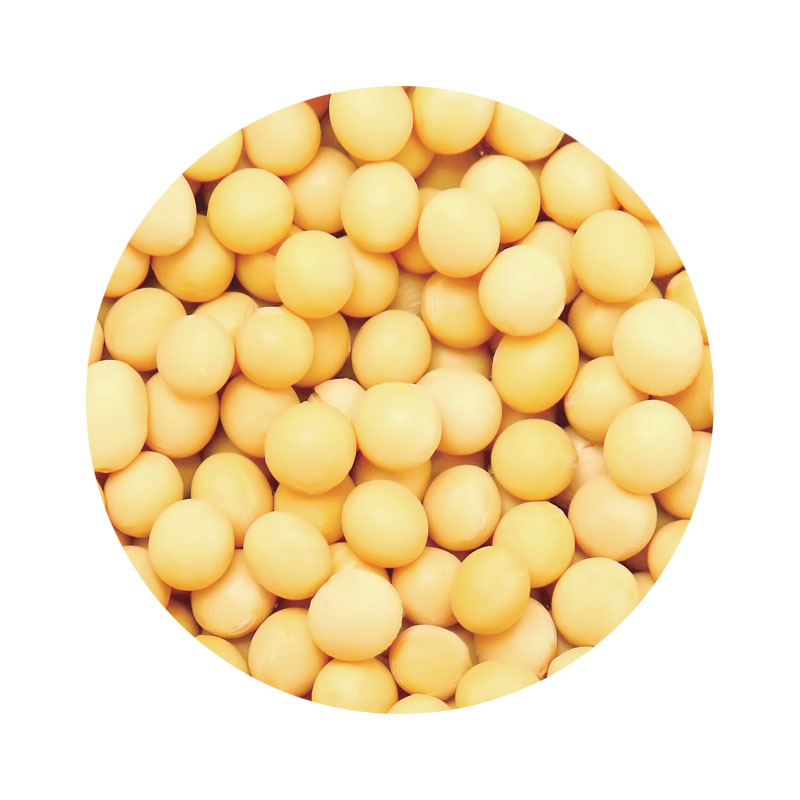 米妹妹一级大豆油1.8L高清大图