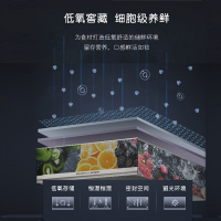 卡萨帝(Casarte)520升 多门冰箱 零距离嵌入 细胞级养鲜 F+智慧格局 BCD-520WLCFPM4G5U1