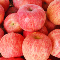 俏鲜莎(QIAOXIANSHA)陕西延安洛川苹果净重9斤装75-80mm香甜可口
