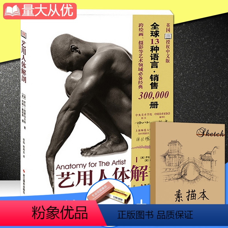 [正版]艺用人体解剖 英国DK图书公司素描几何形体大师临摹人物速写绘画教学美术艺考教程完全指南实用教学 人体结构