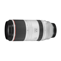 佳能(Canon)RF100-500mm F4.5-7.1 L IS USM 超远变焦镜头 RF全画幅微单专用