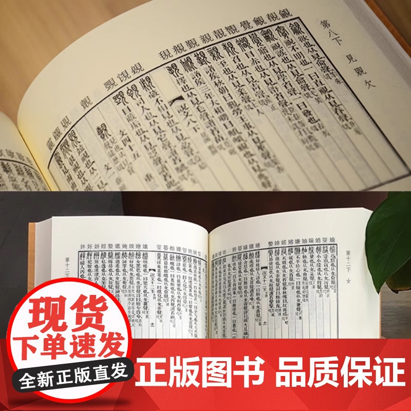 正版书籍]说文解字原版 许慎|校注徐铉(附音序笔画检字) 古代汉语字典古文字字典咬文嚼字细说汉字中华书局画说汉字详解高清大图