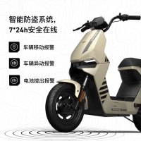 小牛电动自行车 F100锂电新国标电动自行车轻便成人上班通勤代步自行车