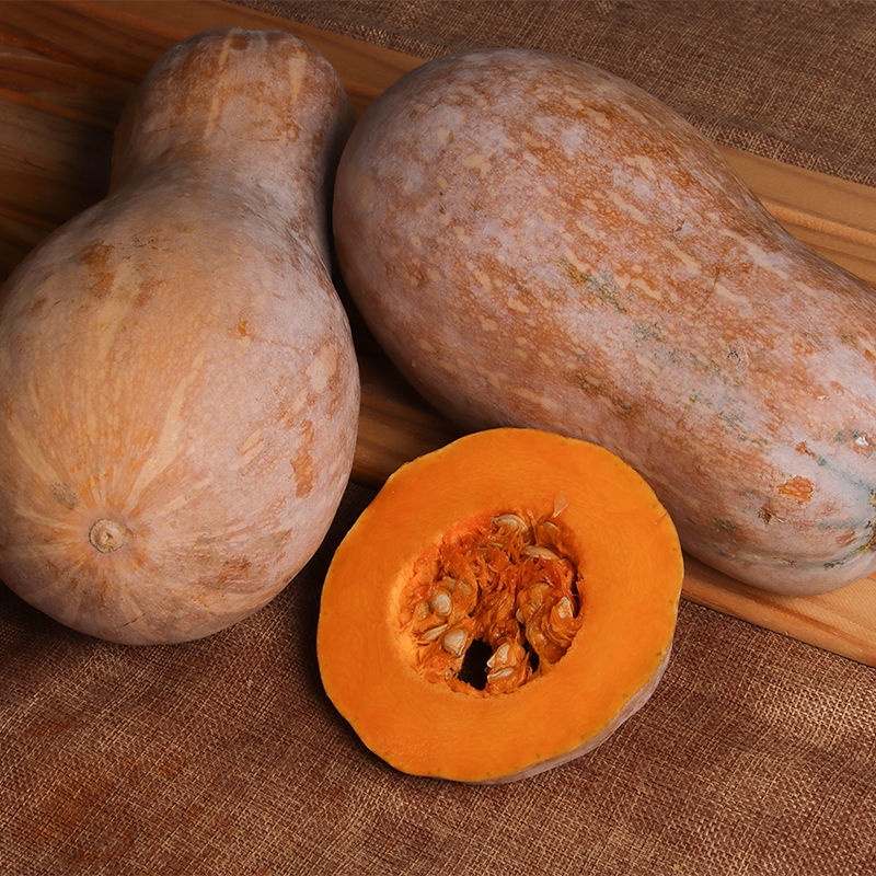 湛航云南高原老南瓜蜜本瓜新鲜甜糯南瓜孕妇宝宝辅食南瓜农家自种参数