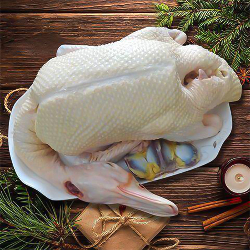 5年老鸭子 肉质紧实 味道鲜美 散养农家土鸭麻鸭草鸭新鲜宰杀整鸭 5年