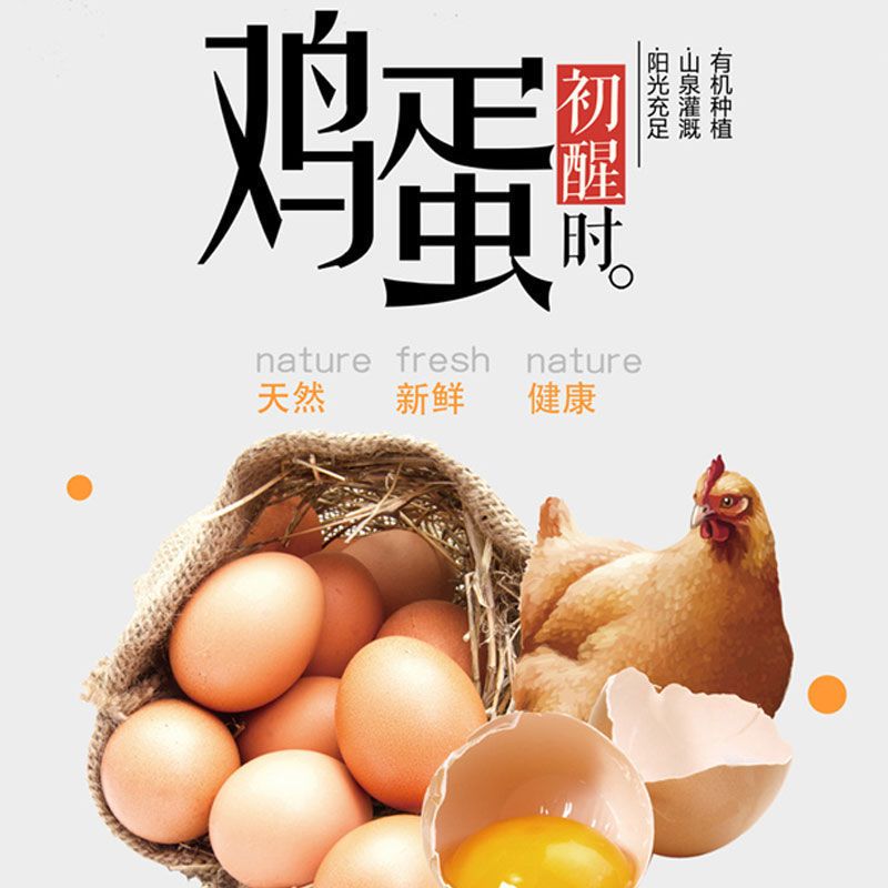 【40枚顺丰】土破损立赔农家正宗散养土鸡蛋新鲜鸡蛋