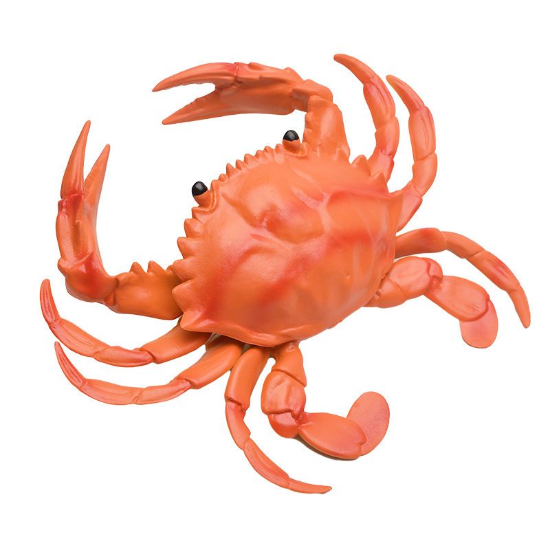 仿真螃蟹虾软胶海洋动物模型大闸蟹儿童早教认知玩具发声螃蟹新款大号