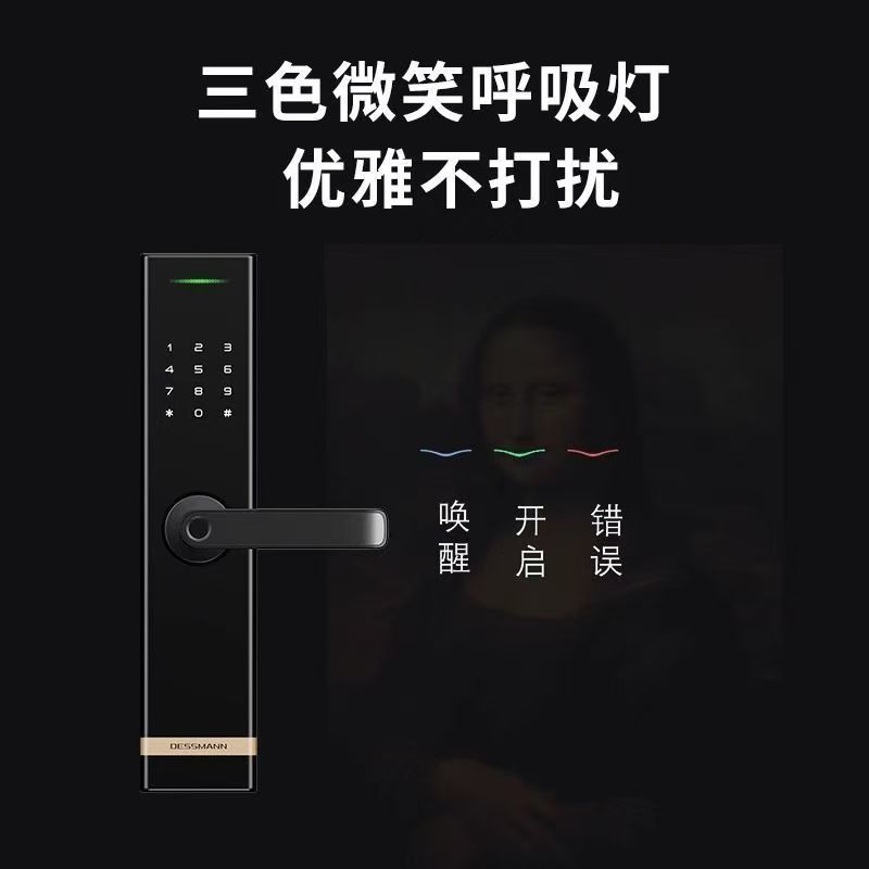 德施曼半自动智能门锁 家用入户防盗门锁密码锁智能锁E180