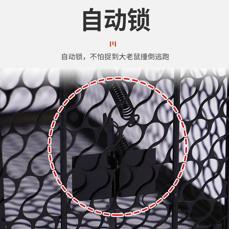[补贴10%]抓老鼠笼子夹子捕鼠器捉扑捕灭鼠神器室内超强家用克星高效一窝端 1个捕鼠笼[送1张加厚粘鼠板]高清大图