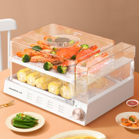 熊猫金标液体加热器（电蒸箱）TRZG1008