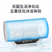 阿诗丹顿电热水器 家用储水式 即热一级能效高效技能3000W双加热管变容速热电子阳极0污垢80L KC73-N80D30