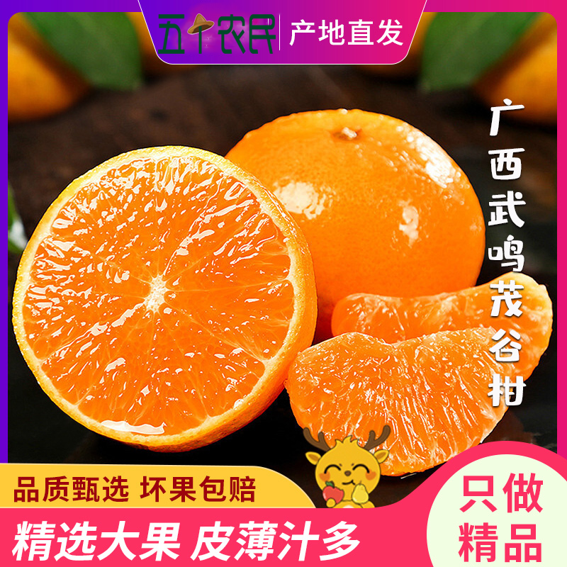 (挂树上的‘芬达’)五个农民广西武鸣茂谷柑5斤精选A级70-80mm+特大果礼盒装新鲜水果自营生鲜柑橘应季整箱