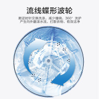 小天鹅(LittleSwan)TP80VDS08新品8公斤双桶 双缸 半自动洗脱分离洗衣机脱水机 家用