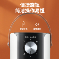 奥克斯取暖器家用浴室小太阳省电暖气节能办公室暖风机立式电暖器 NSBE-200RL