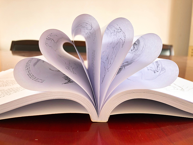 [醉染正版]素描教程版/西方经典美术技法译丛巴林顿巴伯 静物肖像人体风景素描铅笔画零基础学素描构图绘画入门精通实用技高清大图