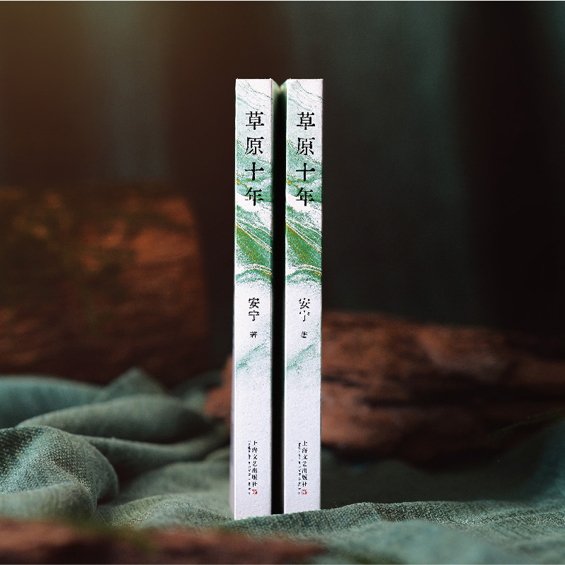 醉染图书草原十年9787532181261高清大图