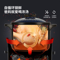 炊大皇陶瓷煲3.5L 家用煲粥煎药养生煲大容量耐高温 SW35TB