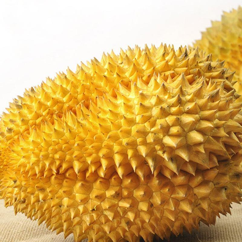 泰国进口 金枕头榴莲 原箱 约16kg 5-6个 新鲜水果