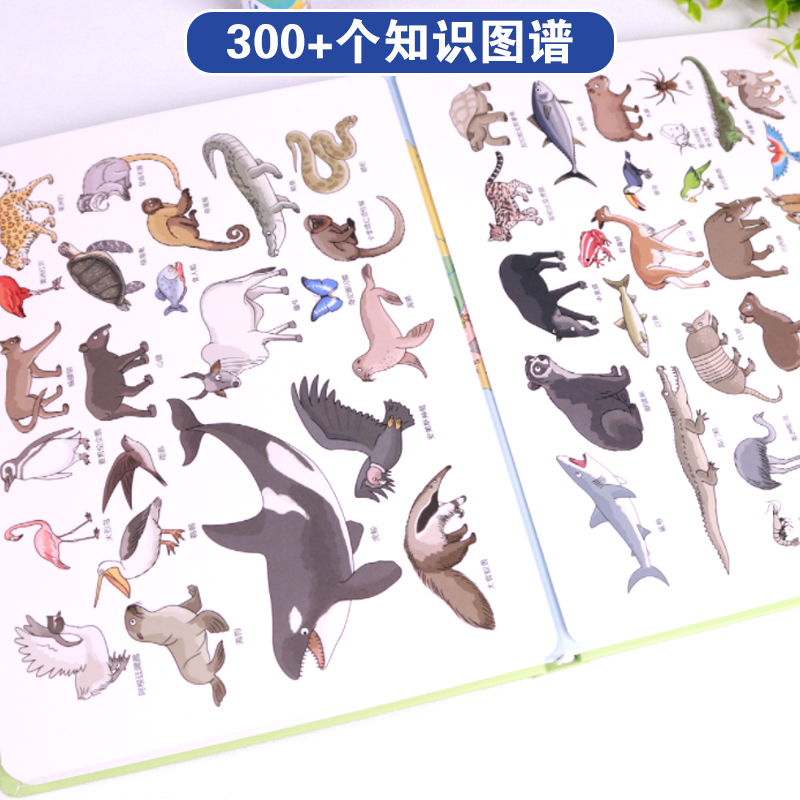 [地图翻翻书]地图上的动物 [正版]地图上的动物 3d立体翻翻书中国儿童百科全书小学生地理科普类书籍小学幼儿启蒙早教书爬高清大图