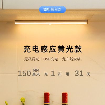 智能人体感应灯橱柜灯衣柜灯廊道灯LED寝室家用宿舍节能小夜灯 暖光2支 15公分