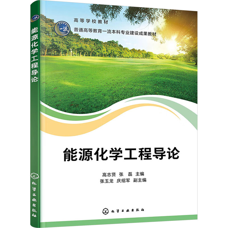 [M]能源化学工程导论-9787122447883高清大图