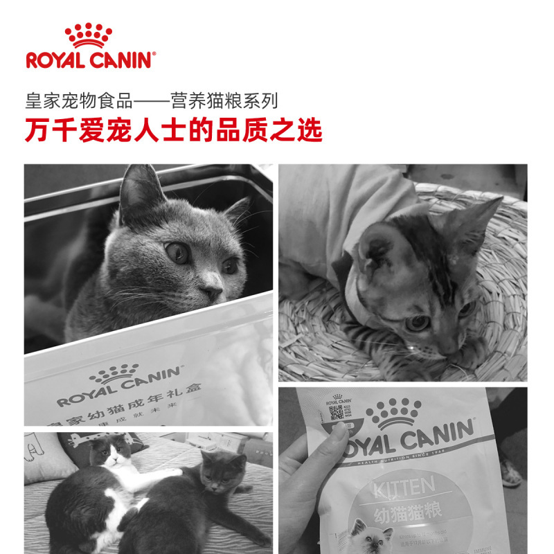 皇家猫粮 幼猫猫粮K36-12月龄以下10kg大公斤猫干粮猫主粮肠胃健康