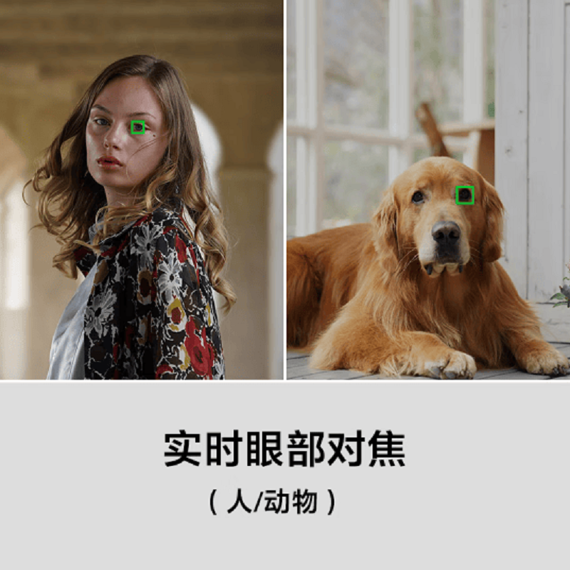 索尼(SONY)A7R3A全画幅微单相机4240万高像素A7R3A FE24-70mm F4标准套装 官方标配高清大图