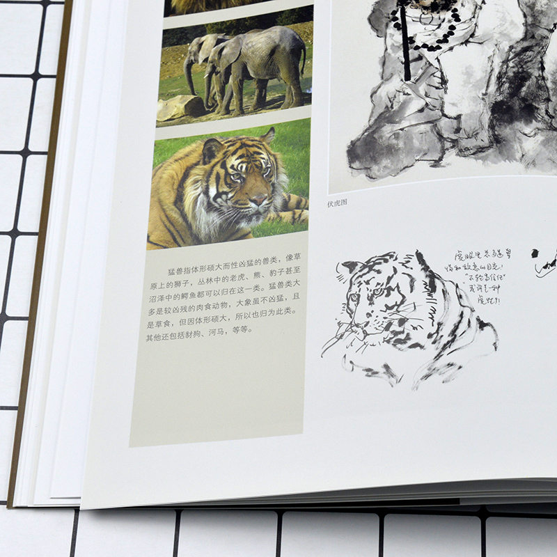 [正版] 走兽篇-陈永锵画谱 家畜猛兽猿猴马鼠动物牛虎马 花鸟画几本画法 国画工笔画花鸟鱼虫写意画技法教程水墨画技法学高清大图