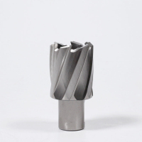 创恒 空心高速钢钢轨钻头电务工务用 Φ31*25mm（1支）